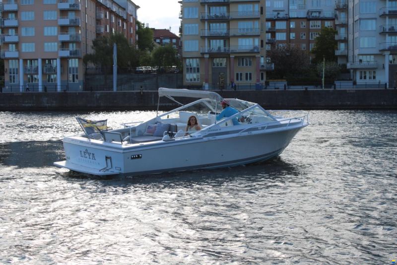 Bertram 28 Moppie