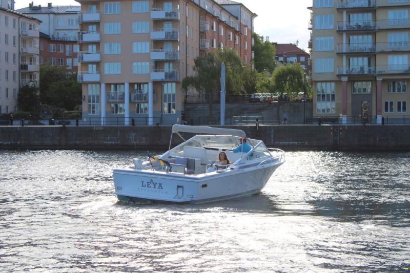 Bertram 28 Moppie