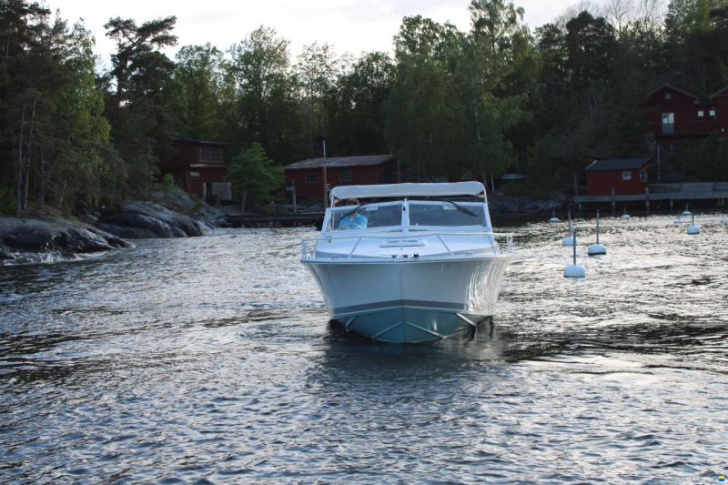 Bertram 28 Moppie