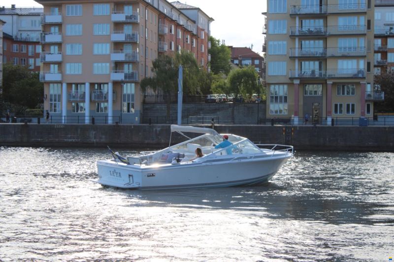 Bertram 28 Moppie