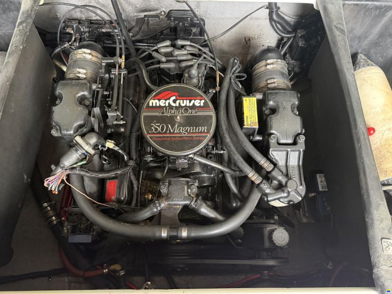 Formula 206 LS