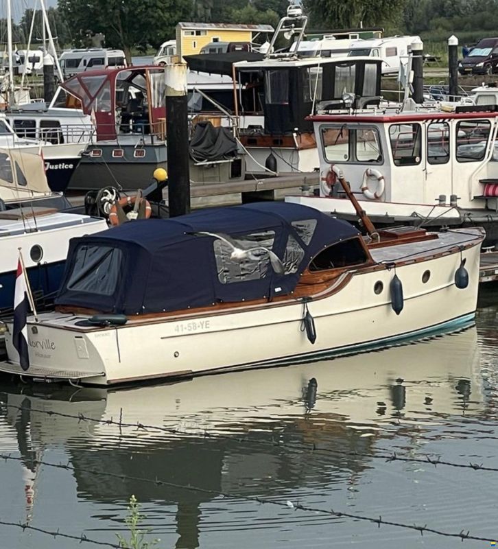 Rapsody 29 ft OC Gold Line