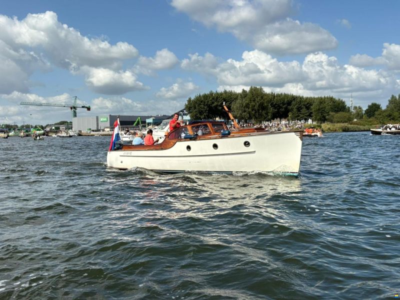 Rapsody 29 ft OC Gold Line