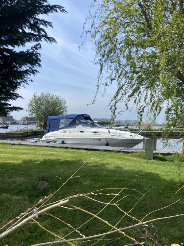 Larson Cabrio 244