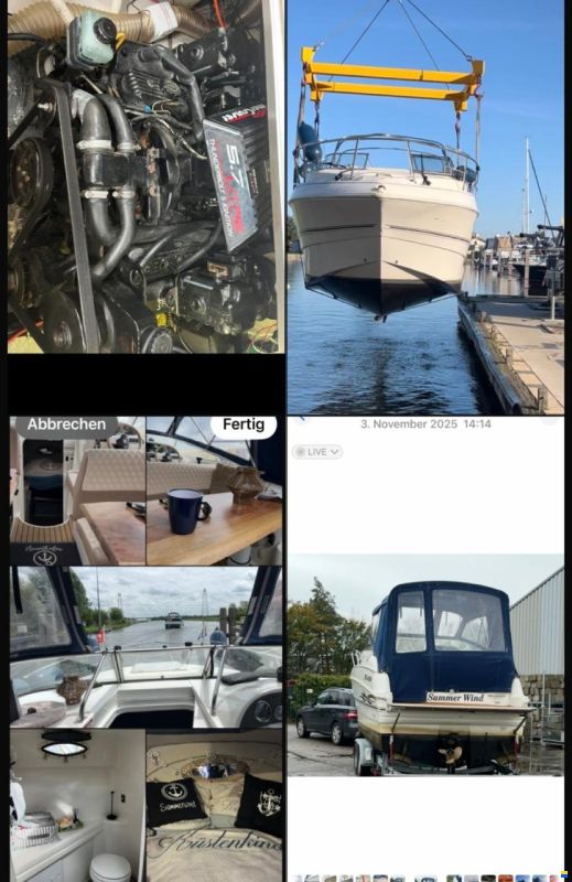 Larson Cabrio 244