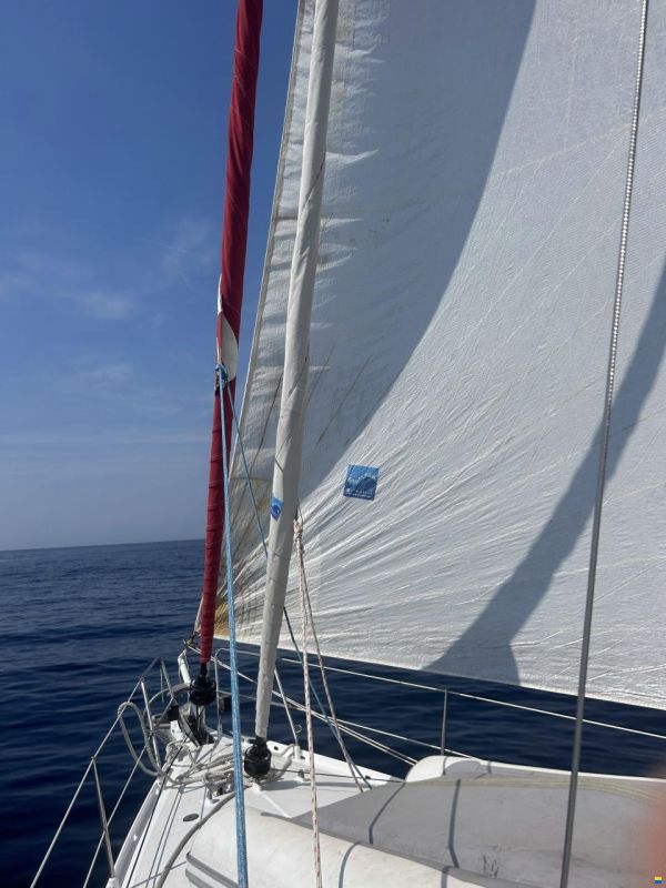 Alubat OVNI 445