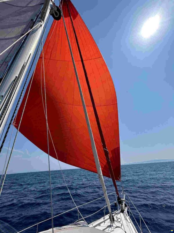 Alubat OVNI 445