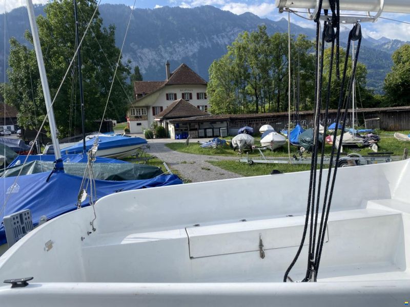 Staempfli Rafale 600