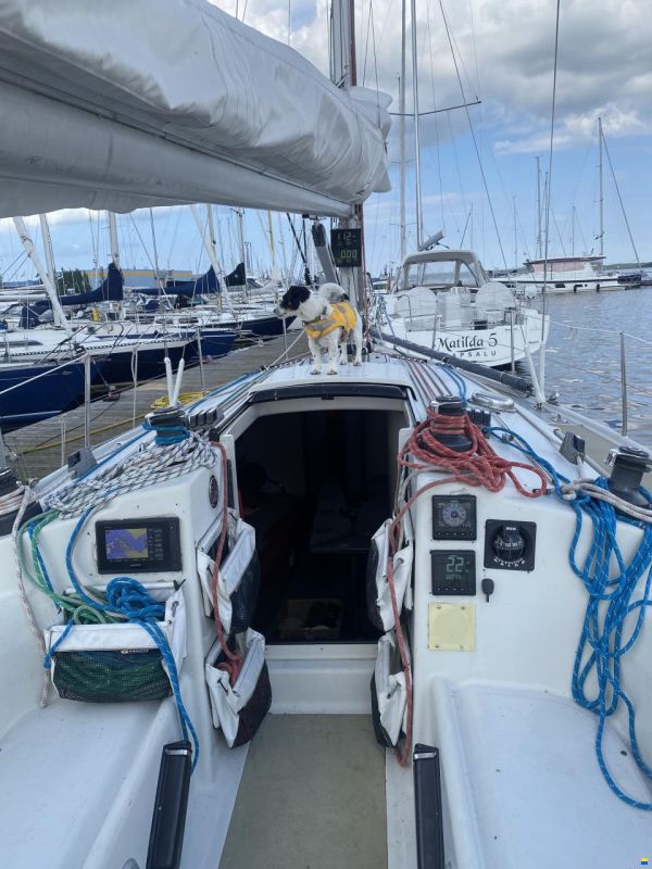 Dehler 36 DB