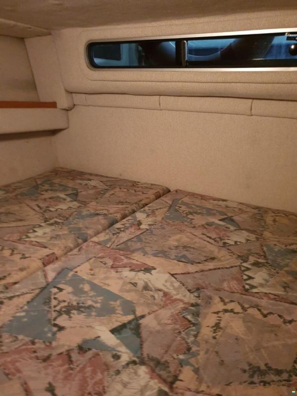 Sea Ray 240DA