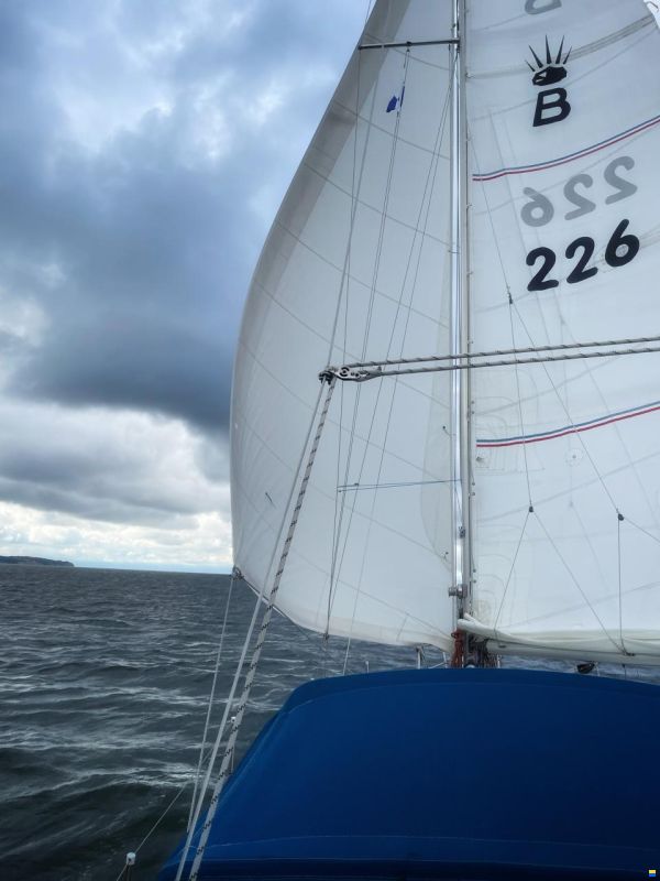 Deerberg Beryll 31