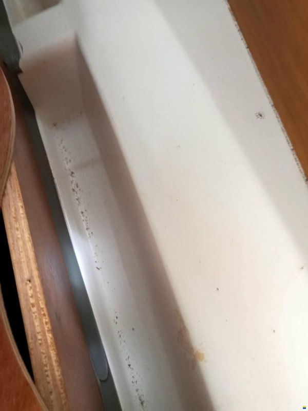 Jeanneau Sun Odyssey 440