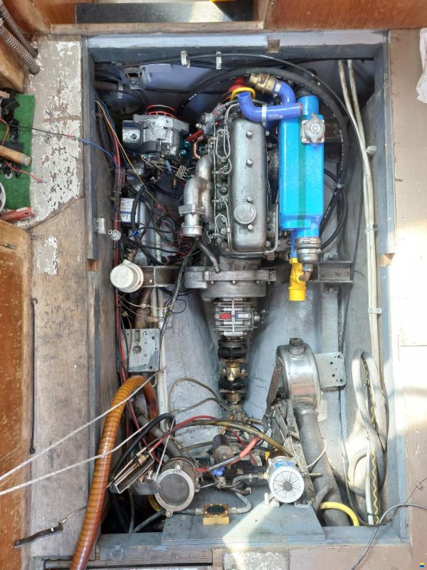 Colvic Victor 34