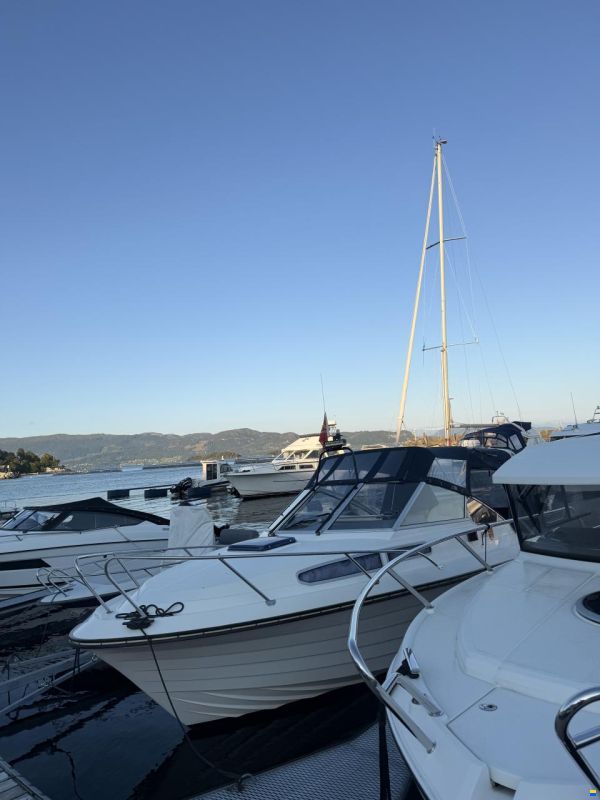 Marex Gambler