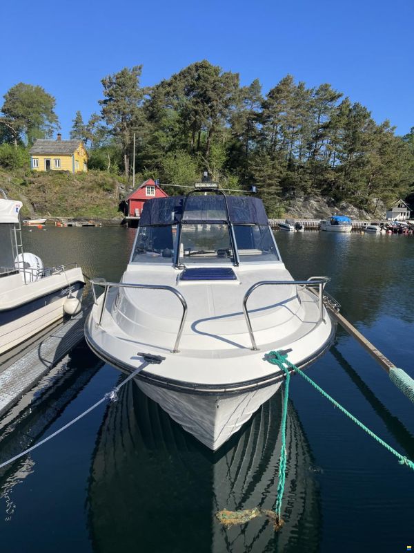 Marex Gambler