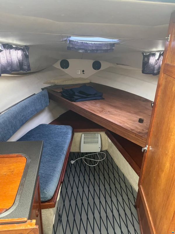 Marex Gambler