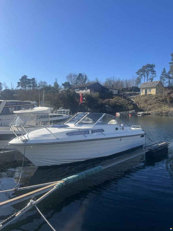 Marex Gambler