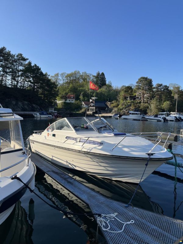 Marex Gambler