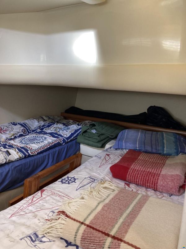 Sealine SC39