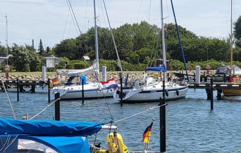 Hallberg-Rassy 31
