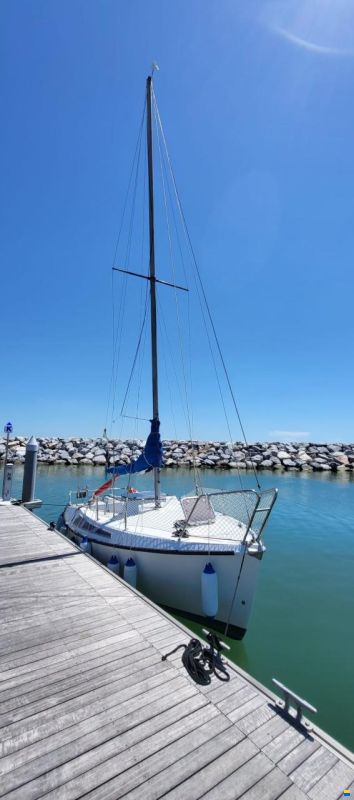 Piviere 660