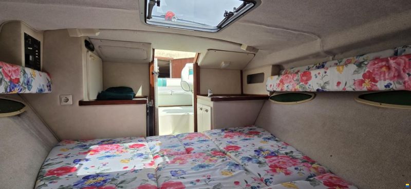 Sea Ray 280 SunSport