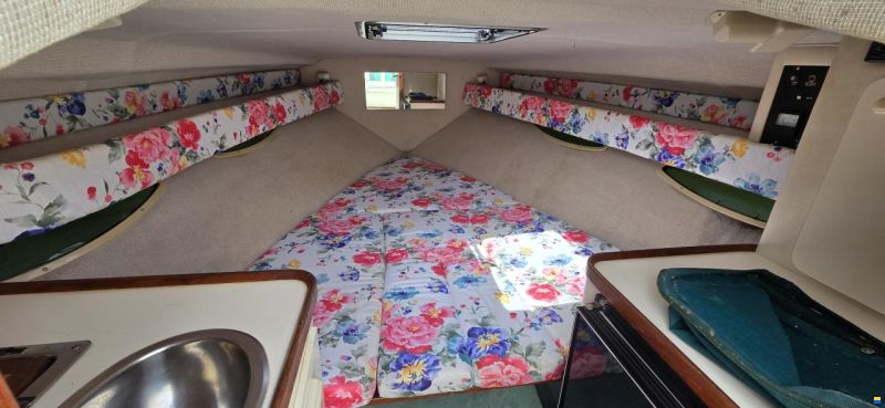 Sea Ray 280 SunSport