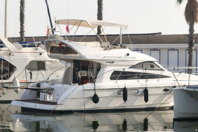 Astondoa 39