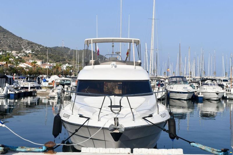 Astondoa 39