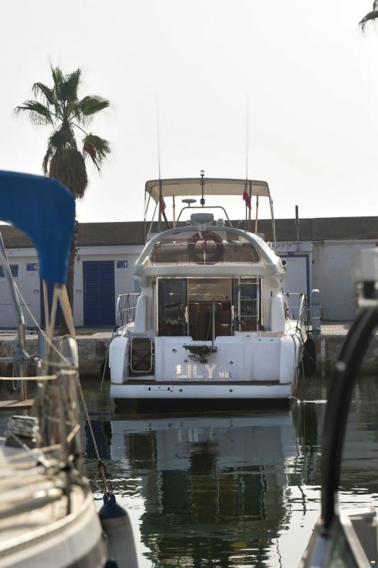 Astondoa 39