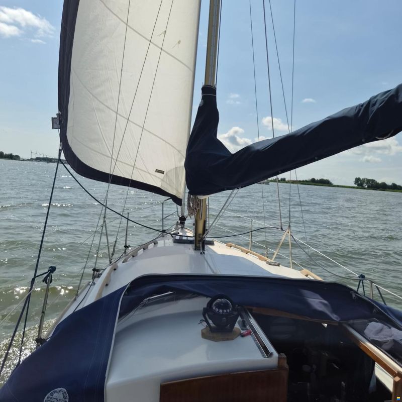 Fellowship 28