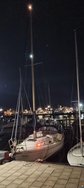 Fellowship 28