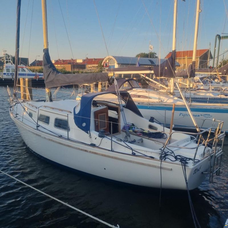 Fellowship 28