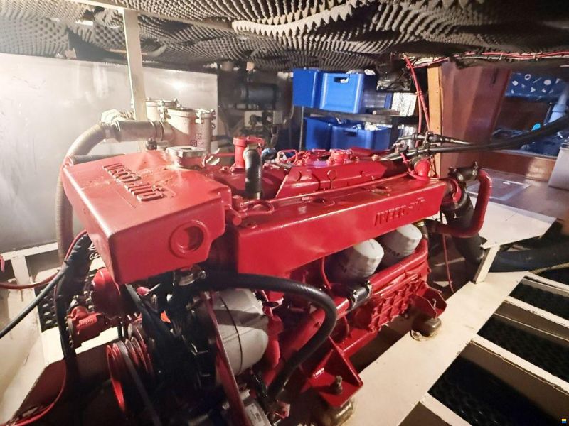 Blauwehand kotter 42