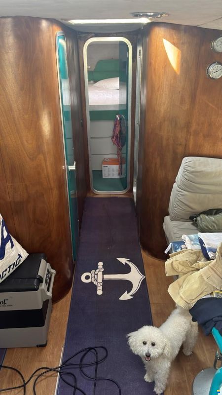 Cranchi Mediterranee 40