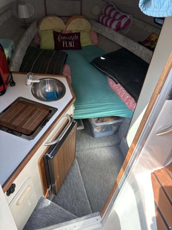 Sea Ray 230 Dalt