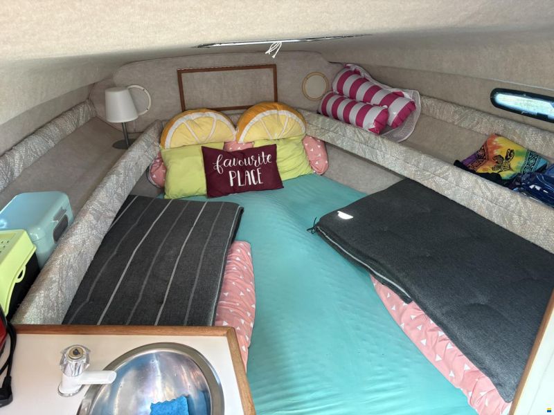 Sea Ray 230 Dalt