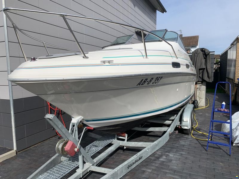 Sea Ray 230 Dalt