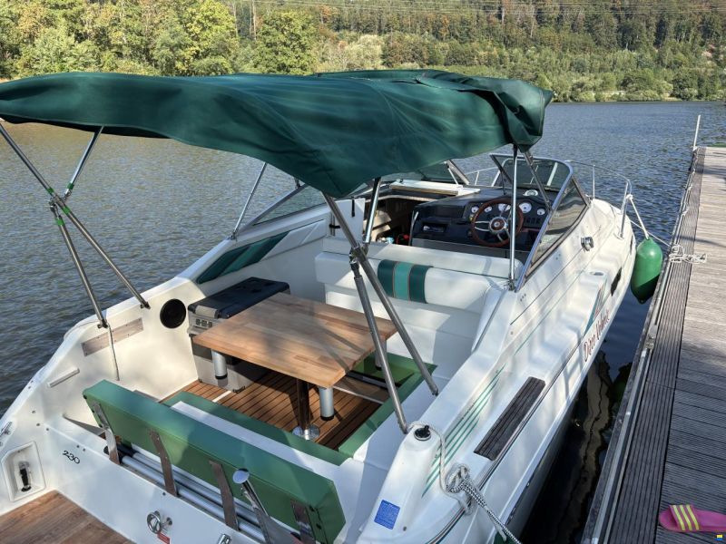 Sea Ray 230 Dalt