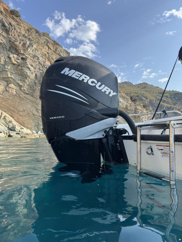 Boston Whaler Dauntless 230