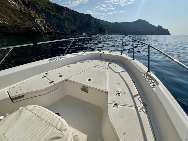 Boston Whaler Dauntless 230