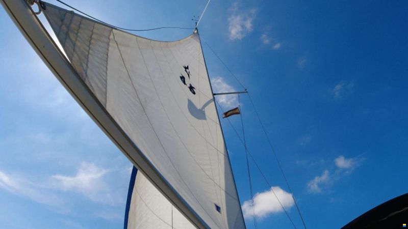 Westerly Longbow 31