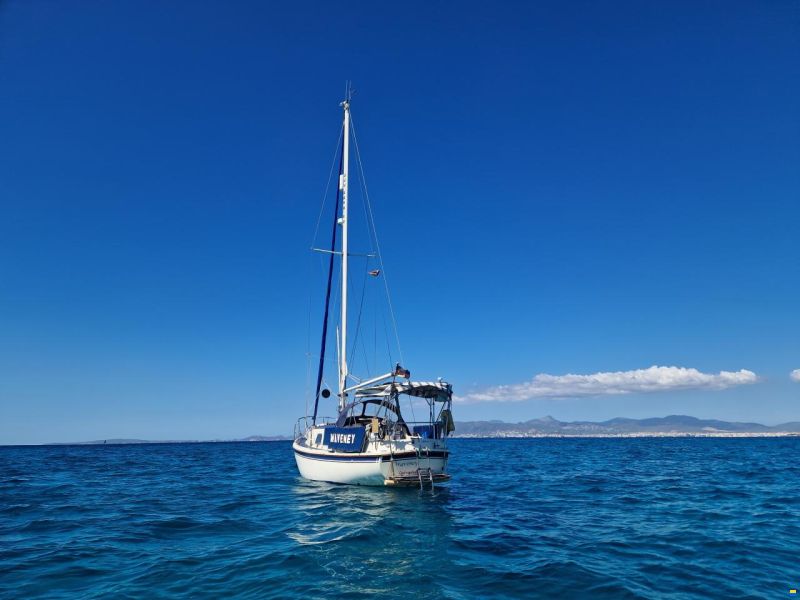 Westerly Longbow 31