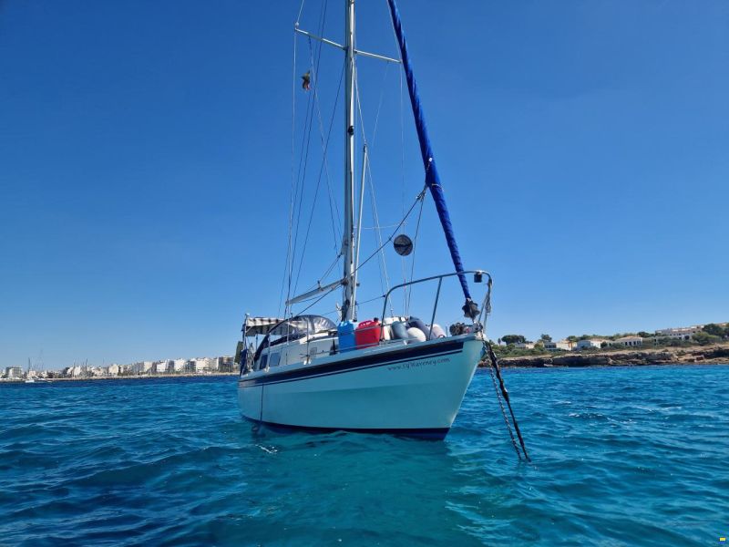 Westerly Longbow 31