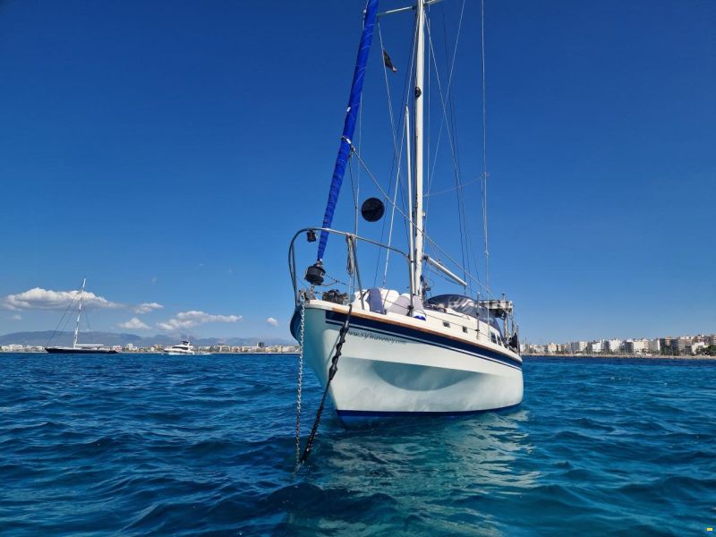 Westerly Longbow 31