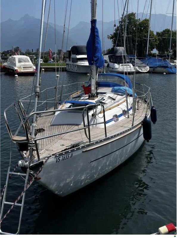 Rebell 31