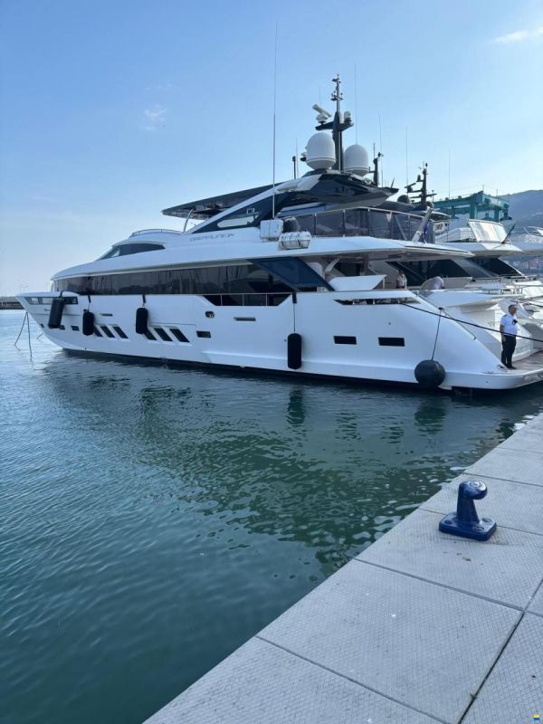 DL Dreamline Dreamline 35