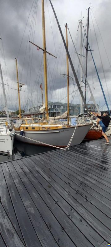 De Vries Fortuna 41