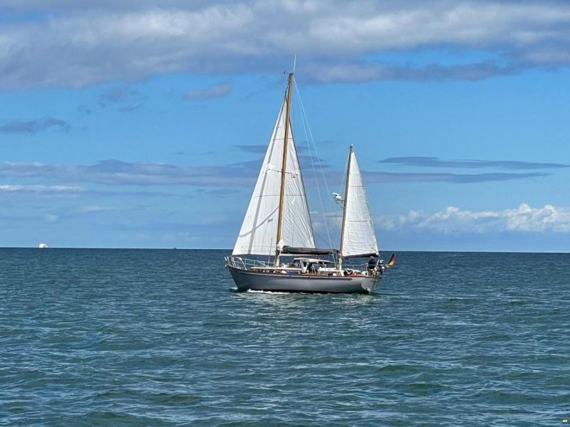 De Vries Fortuna 41