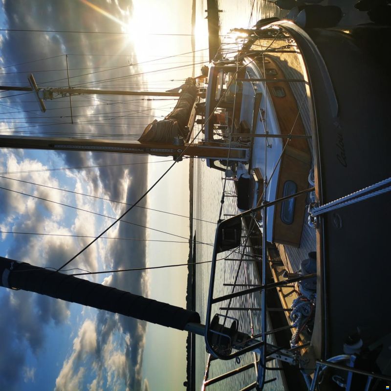 De Vries Fortuna 41